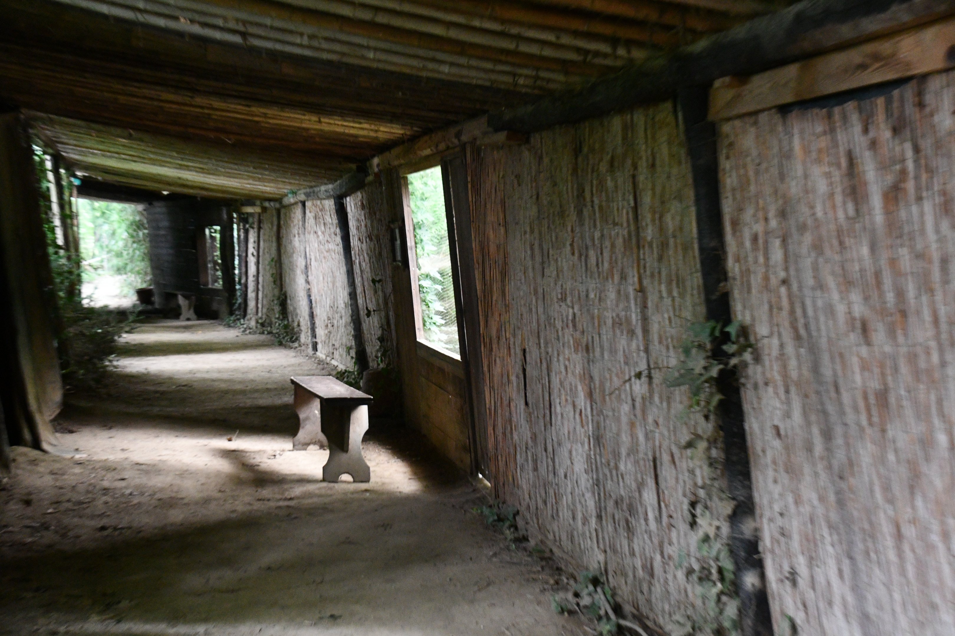 Kingfisher and Birds of Prey exhibits tunnel
