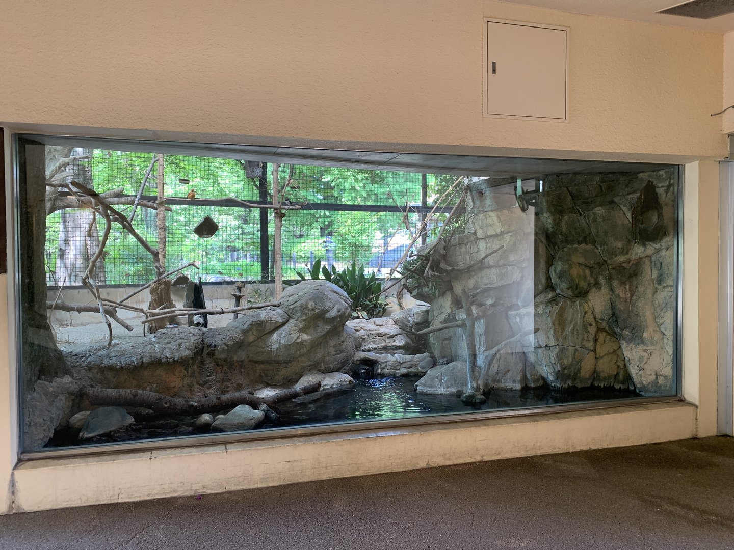 Kingfisher and Thrush Exhibit