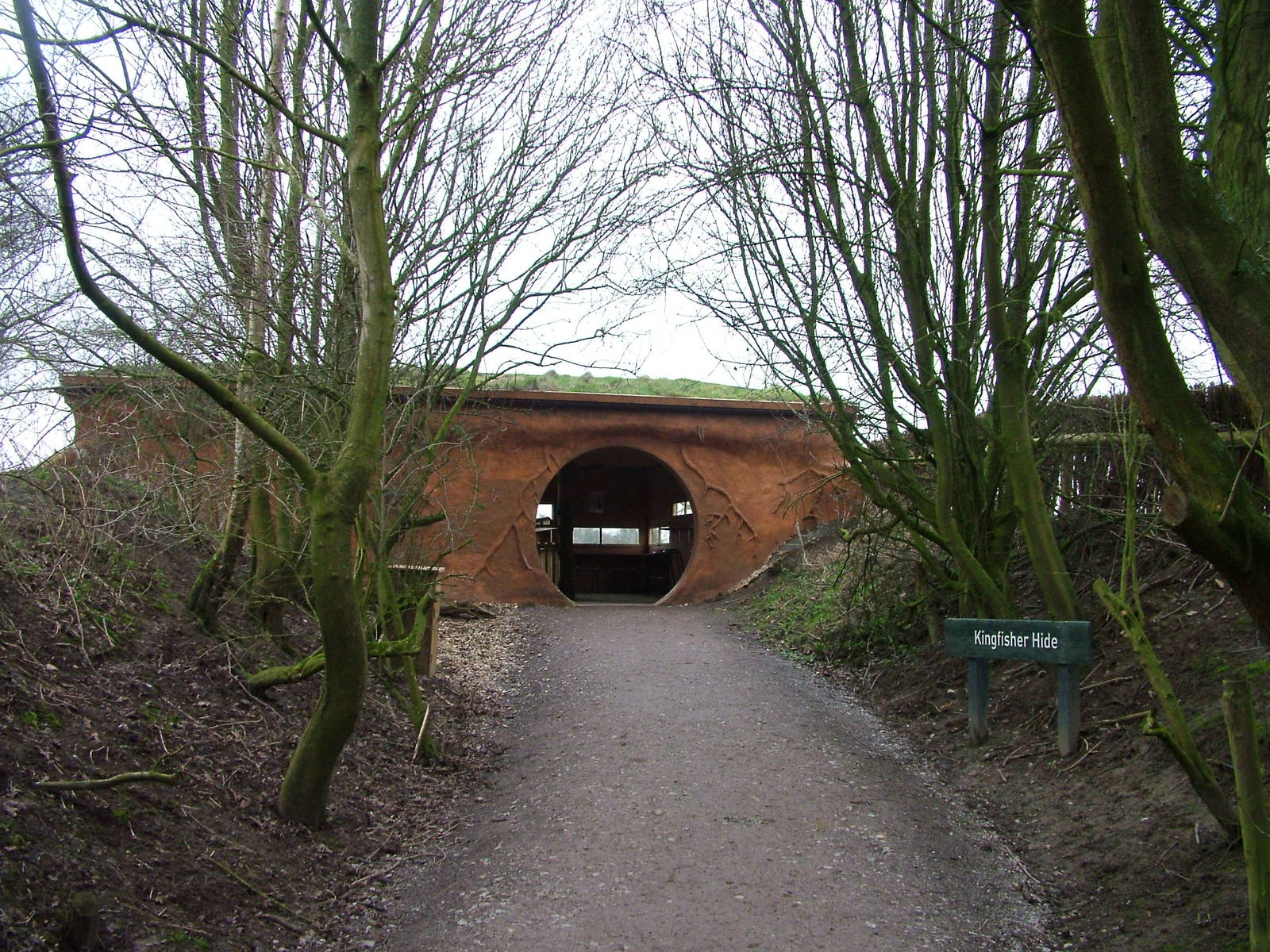 Kingfisher Hide at Slimbridge 06/02/10