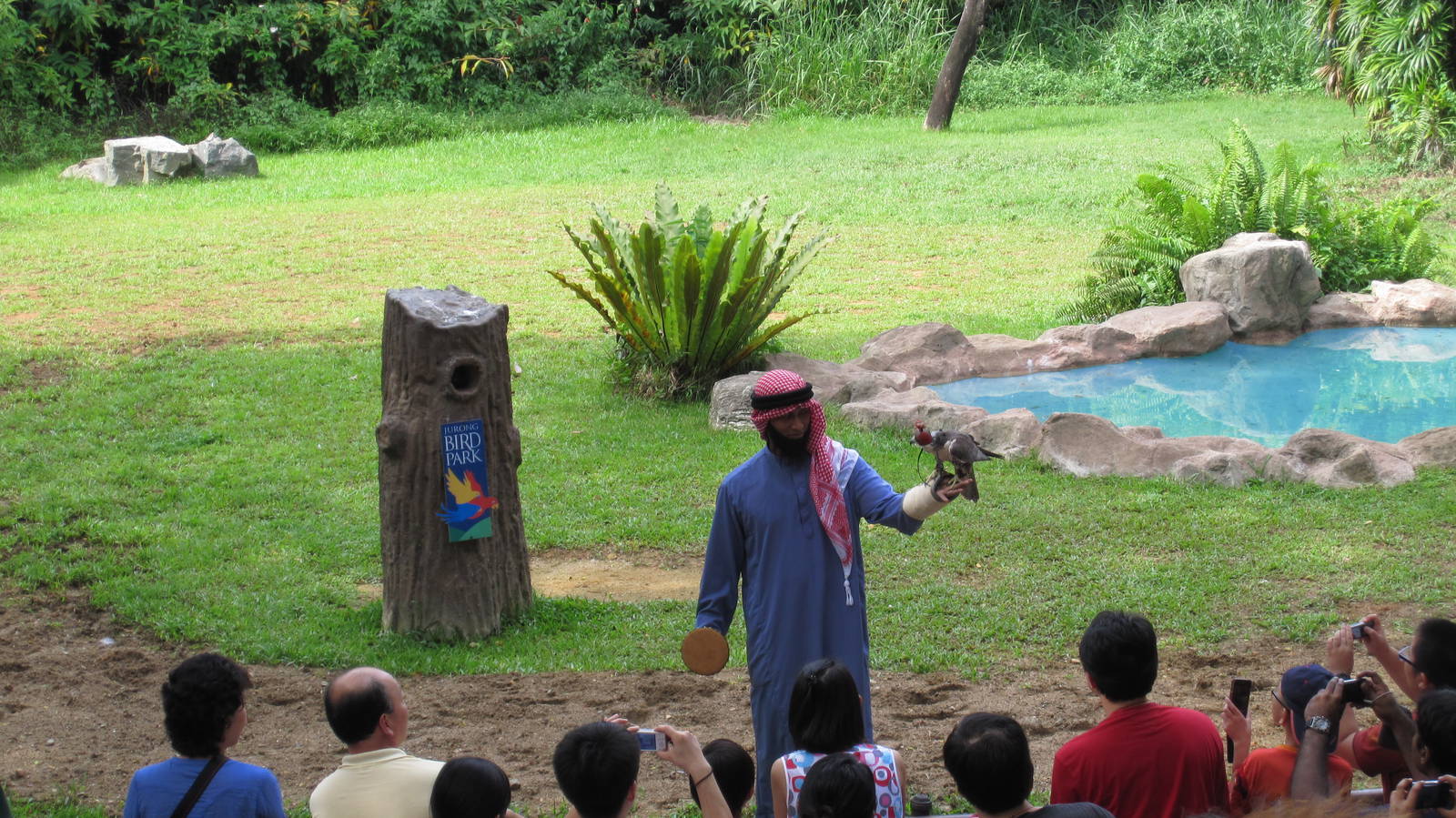 Kings of the Skies show - Arab falconer