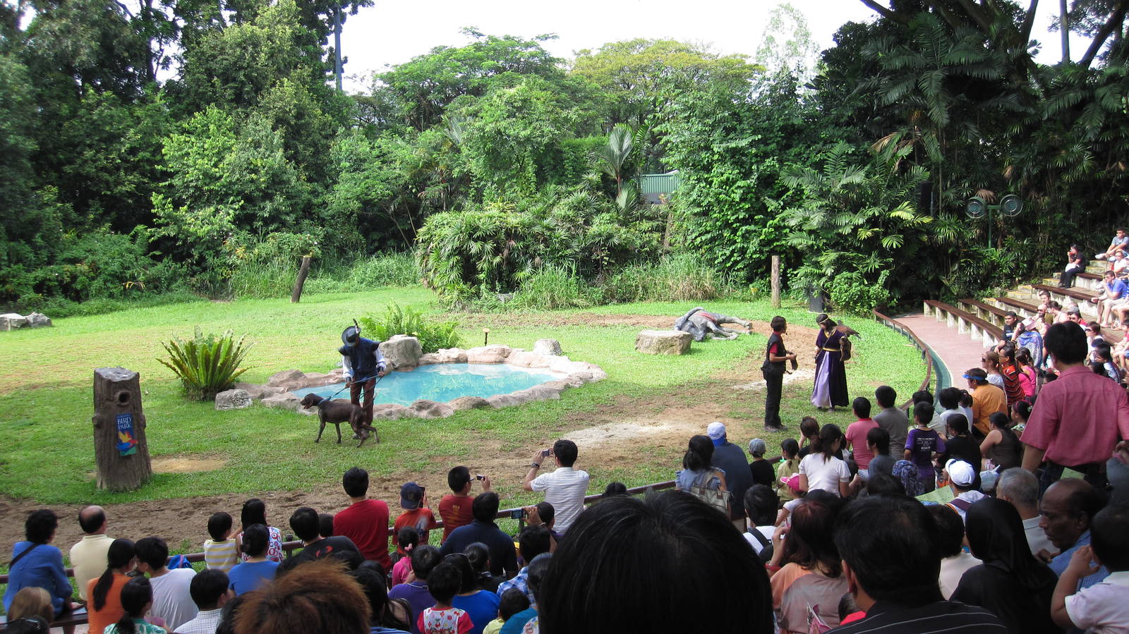 Kings of the Skies show - Medieval falconer with hunting dog