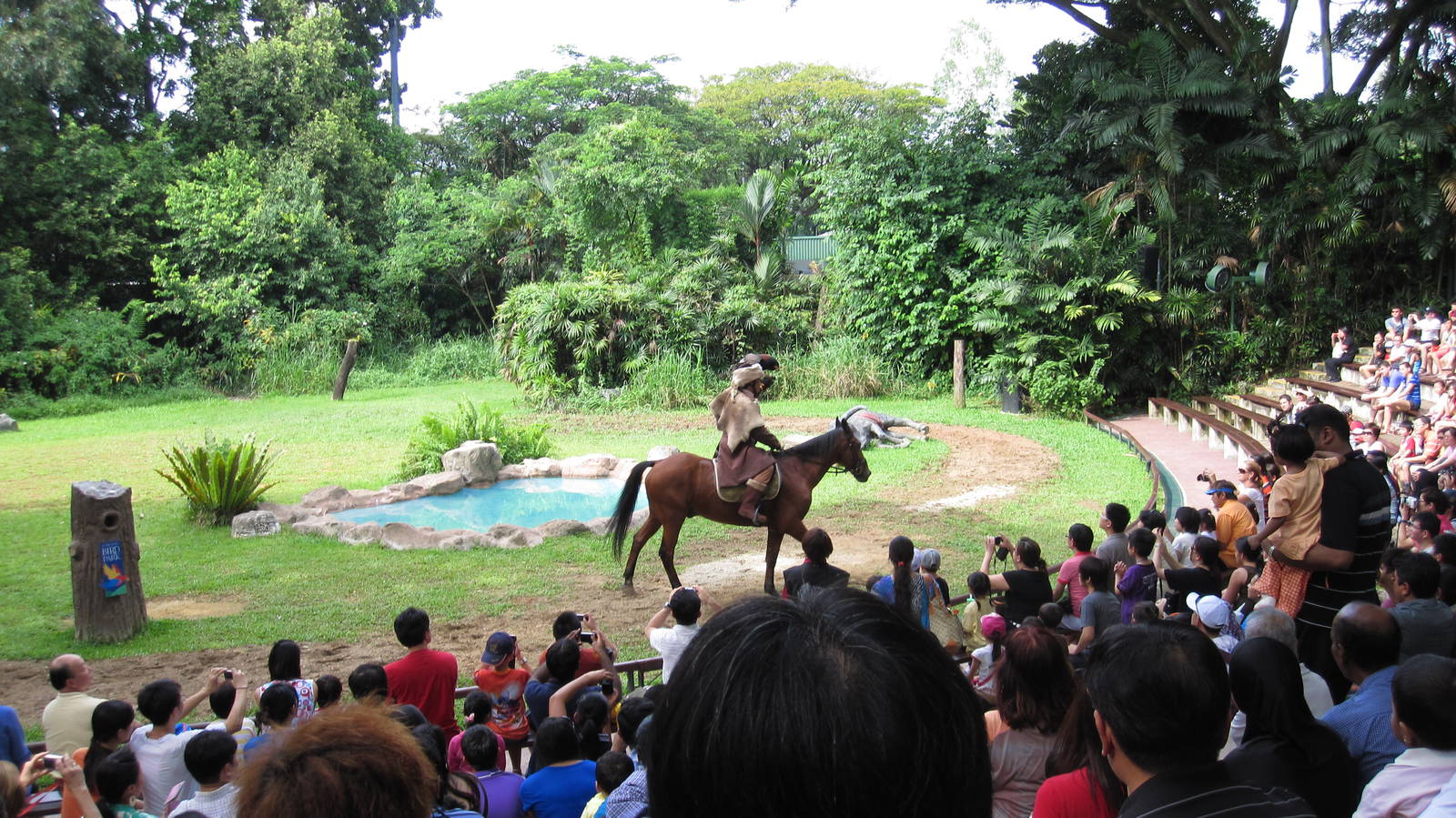 Kings of the Skies show - Mongolian falconer