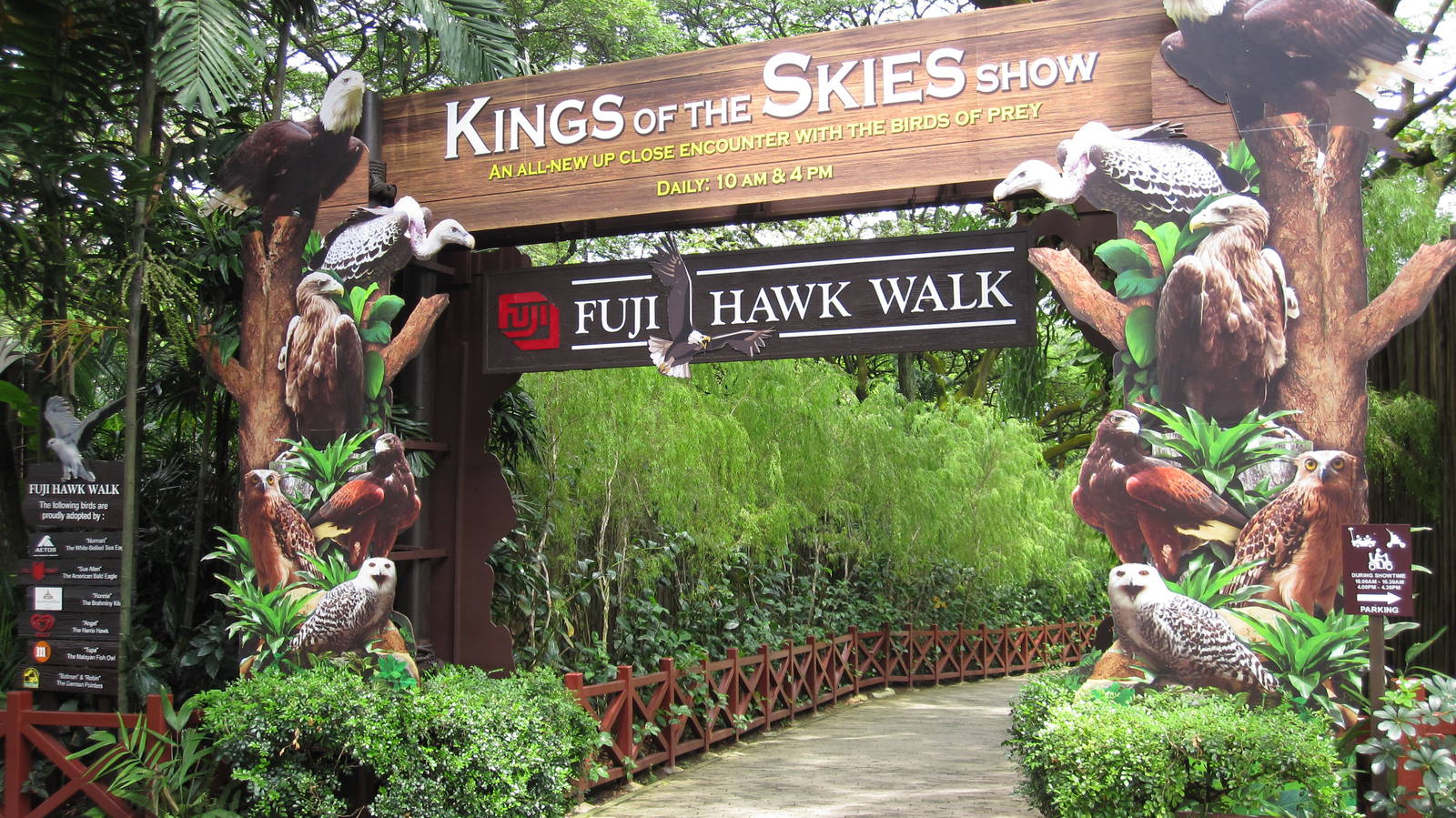 Kings of the Skies show