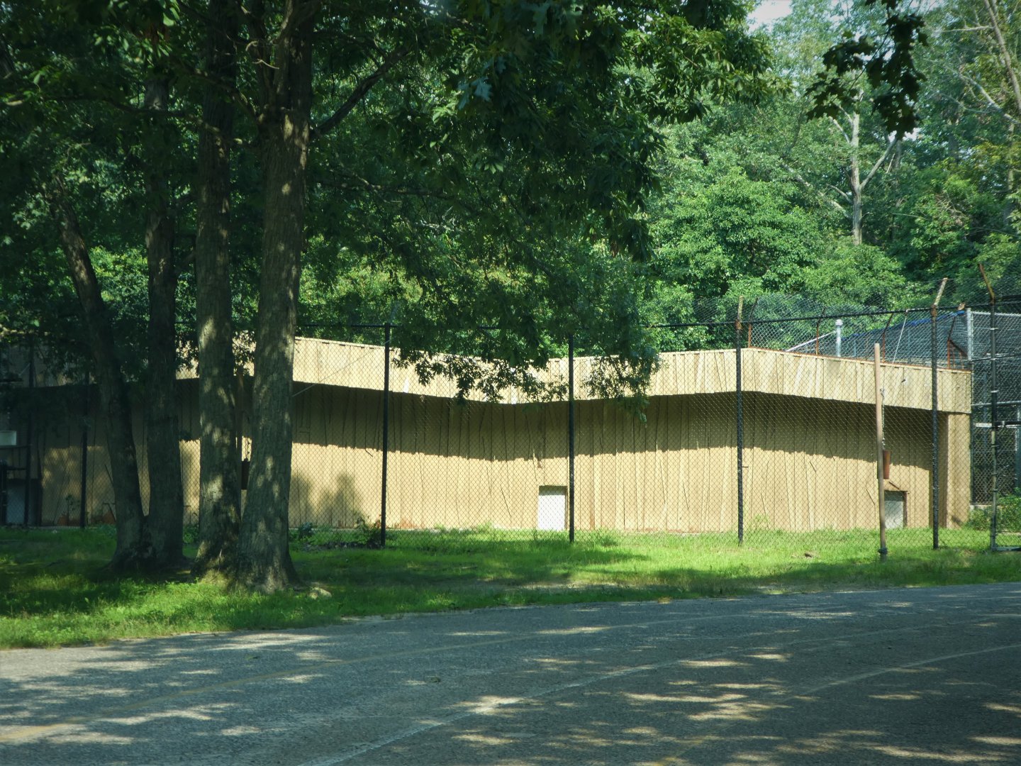 Kingsland - Lion Holding