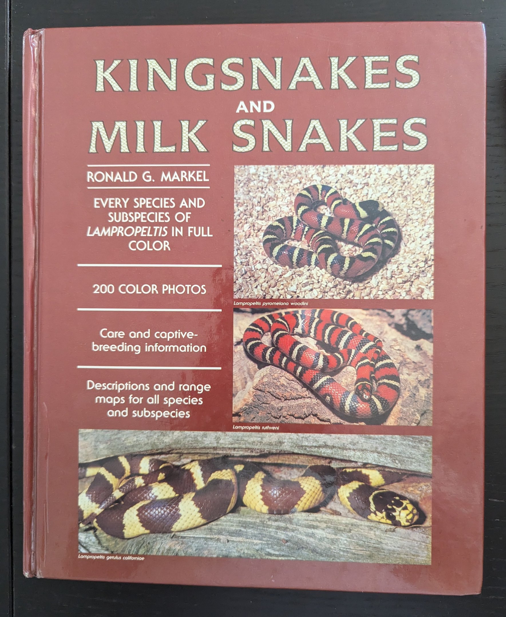 Kingsnakes and Milk snakes