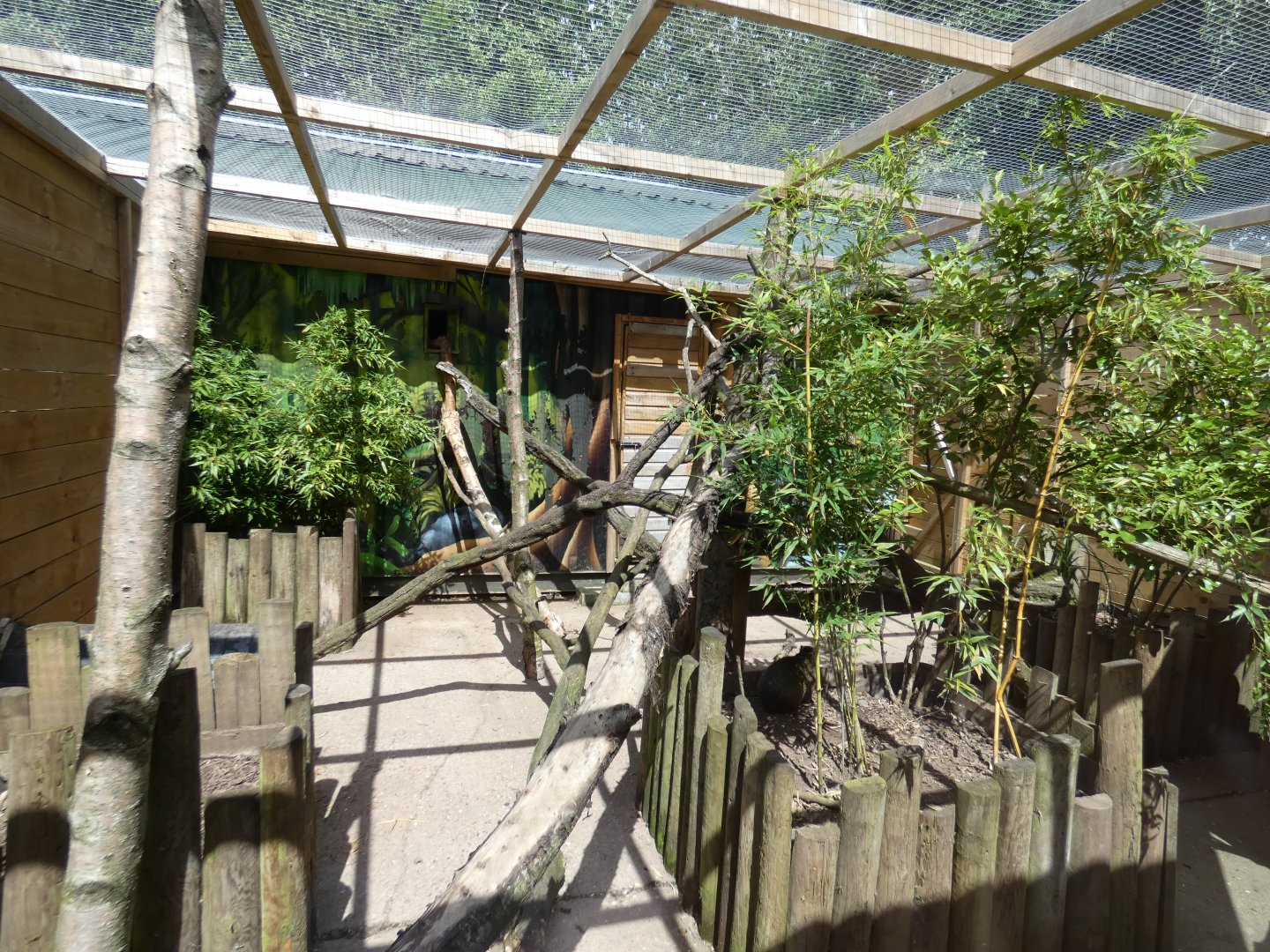 Kinkajou and Azara's agouti enclosure