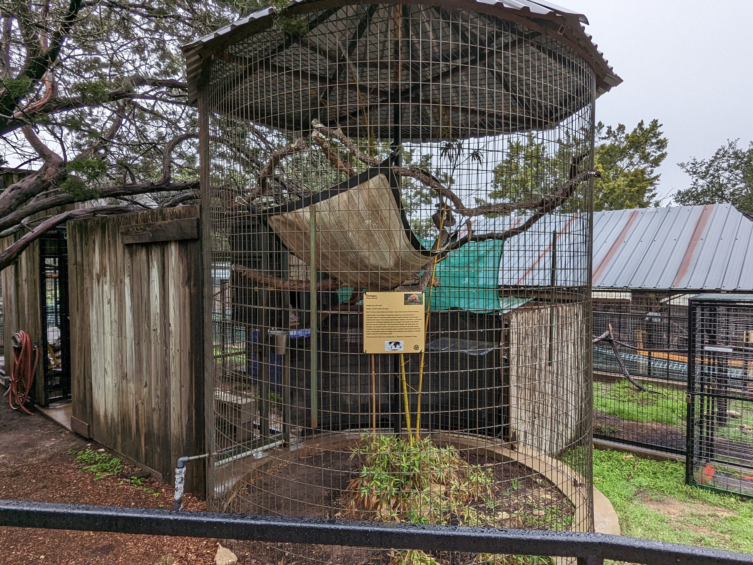 Kinkajou cage (one of 3 that I saw)