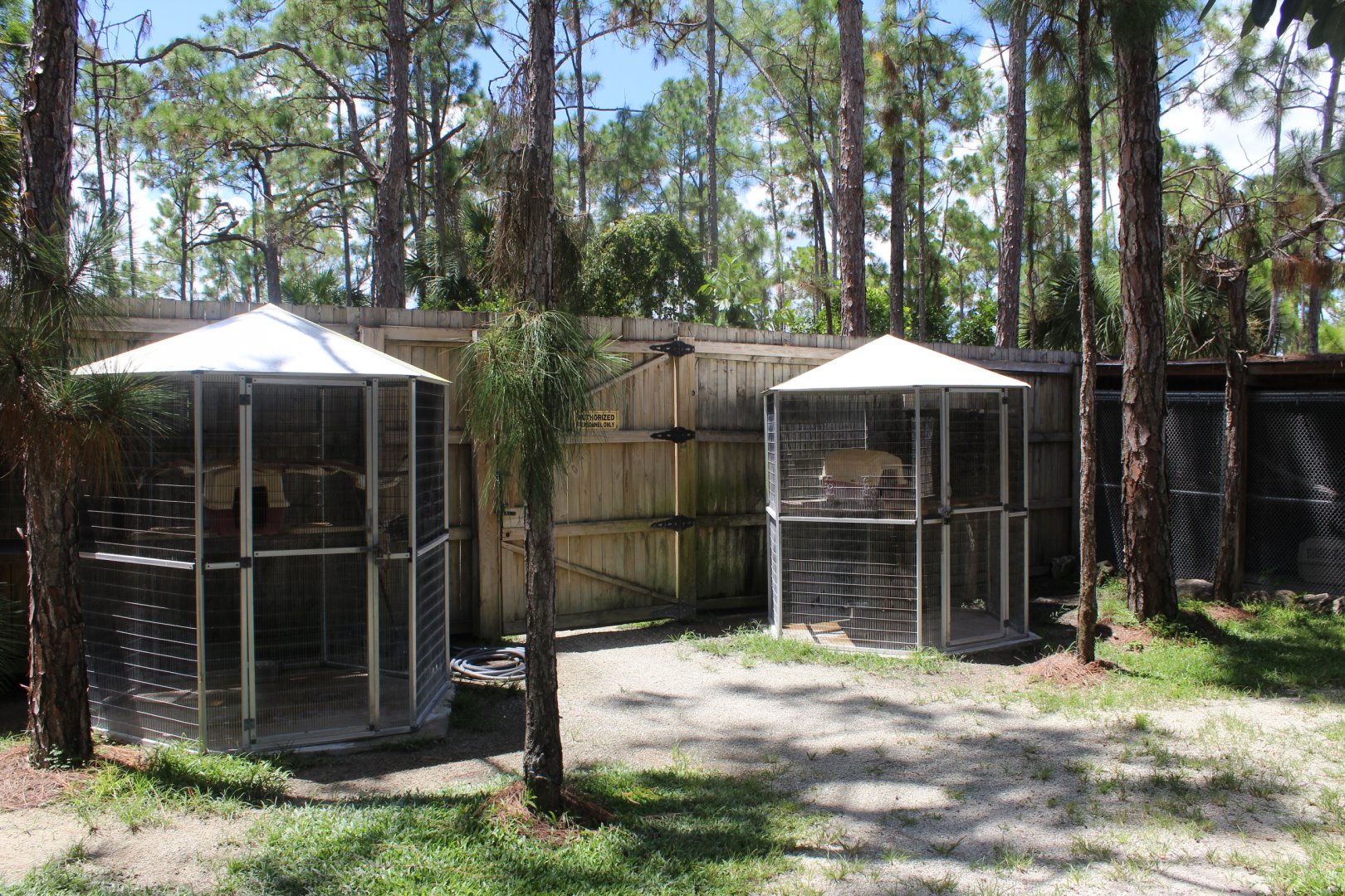 Kinkajou Cages - Mccarthy Wildlife Sanctuary
