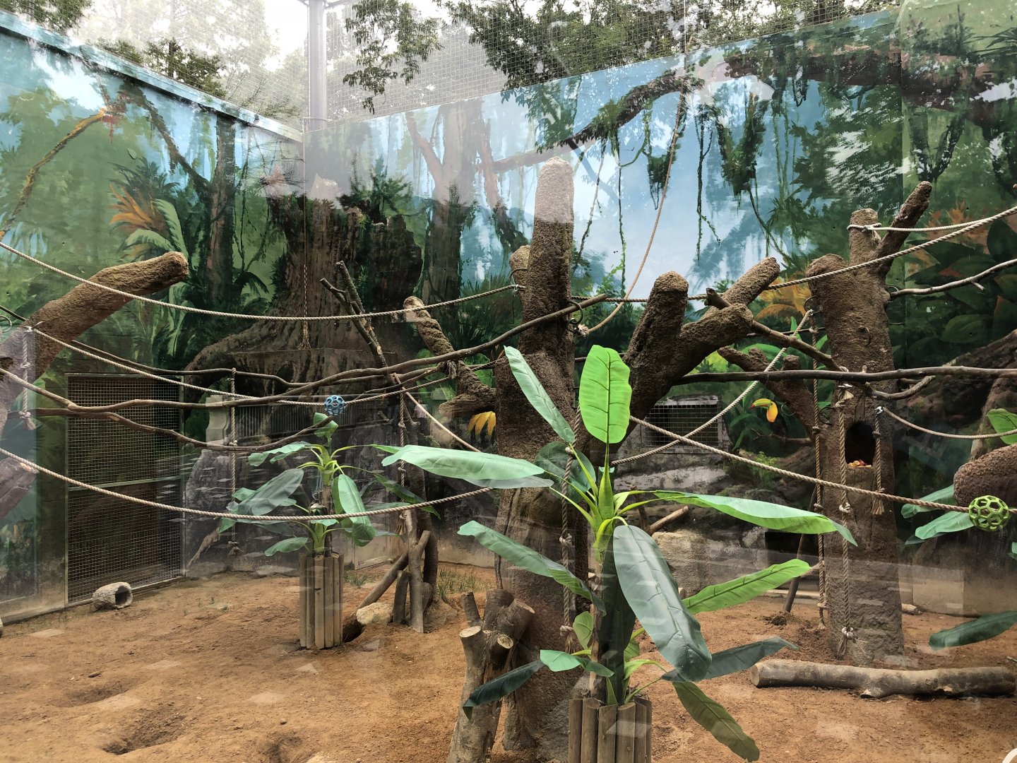 Kinkajou & Crested Porcupine Exhibit