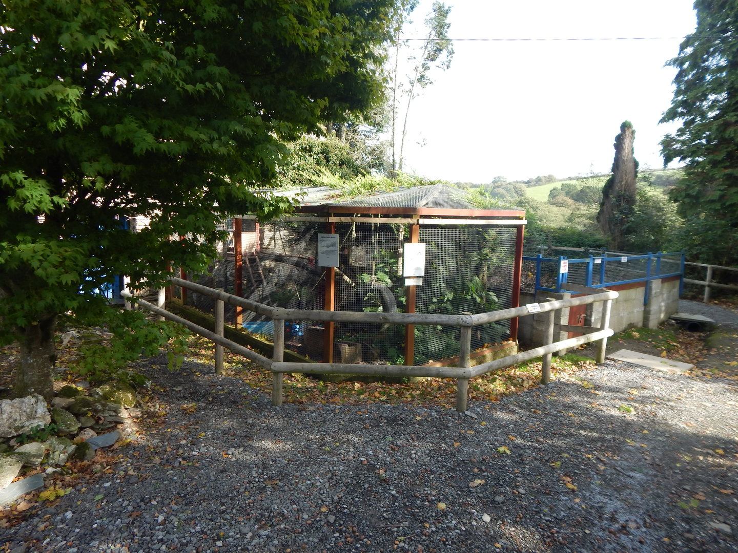 Kinkajou enclosure 151022