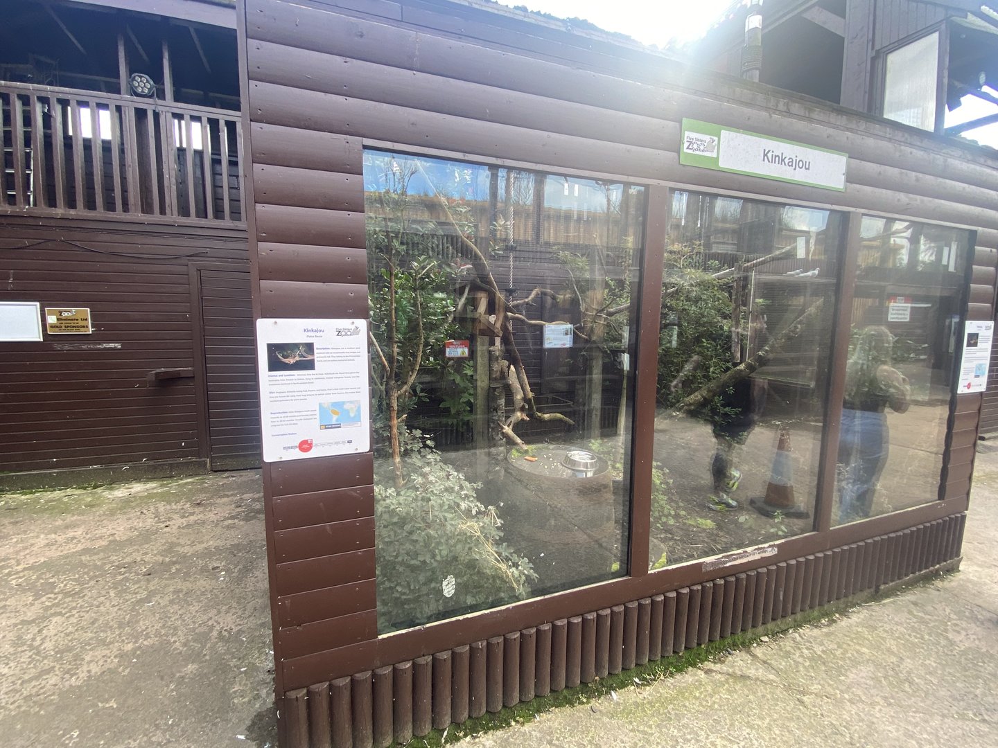 Kinkajou enclosure 200922
