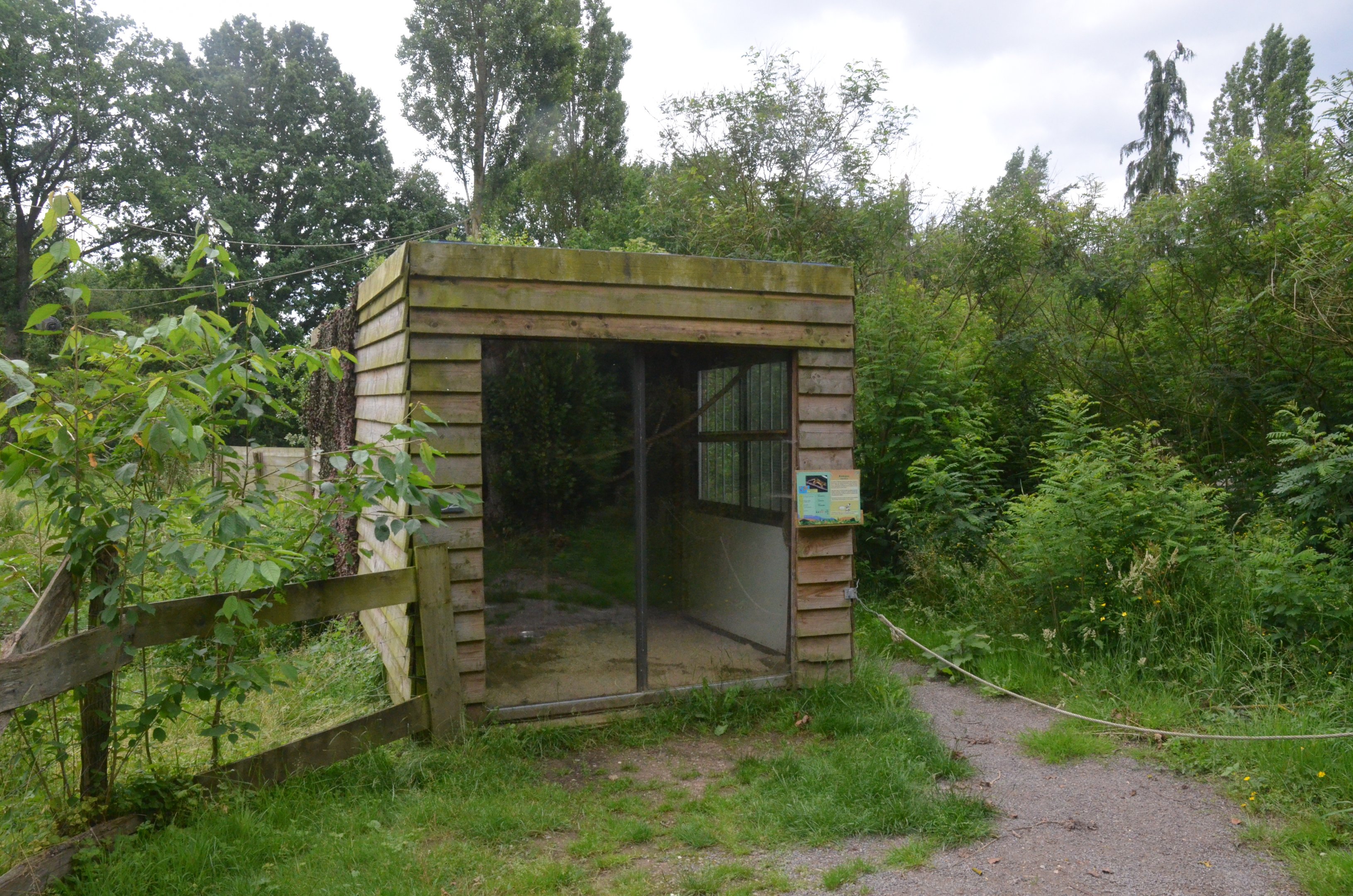 Kinkajou Enclosure at Spaycific'Zoo, 13/06/18