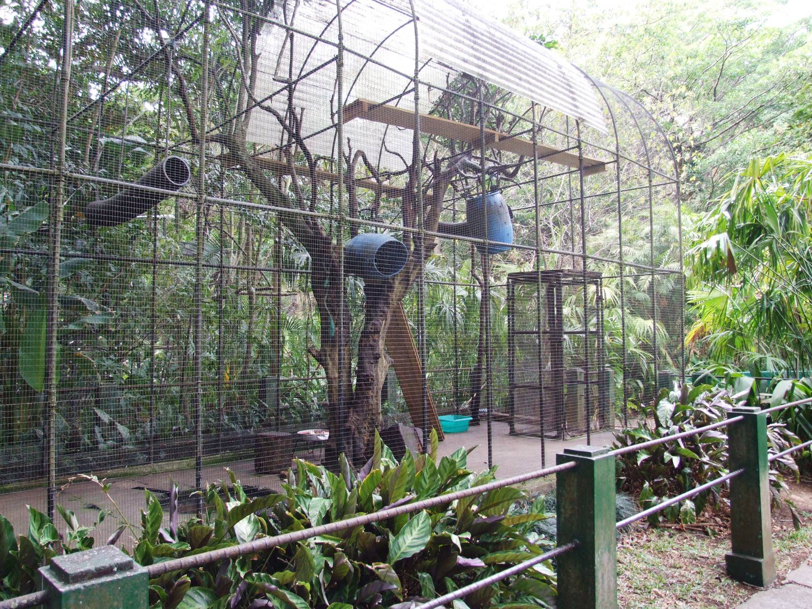 Kinkajou Enclosure at Zoo Simon Bolivar, 12/04/14