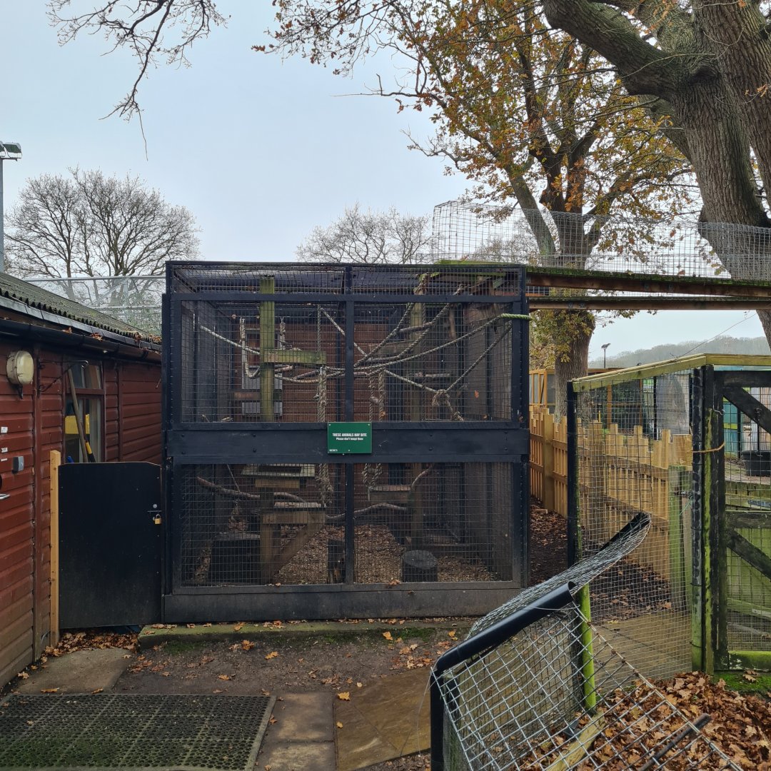 Kinkajou Enclosure Bede's Zoo