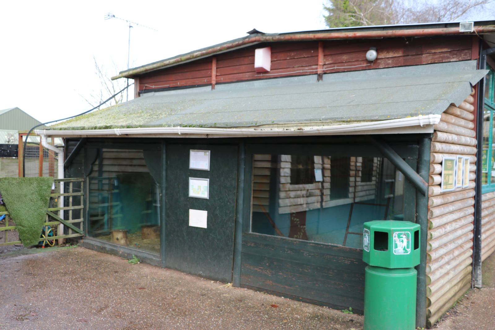 Kinkajou enclosure, November 2015