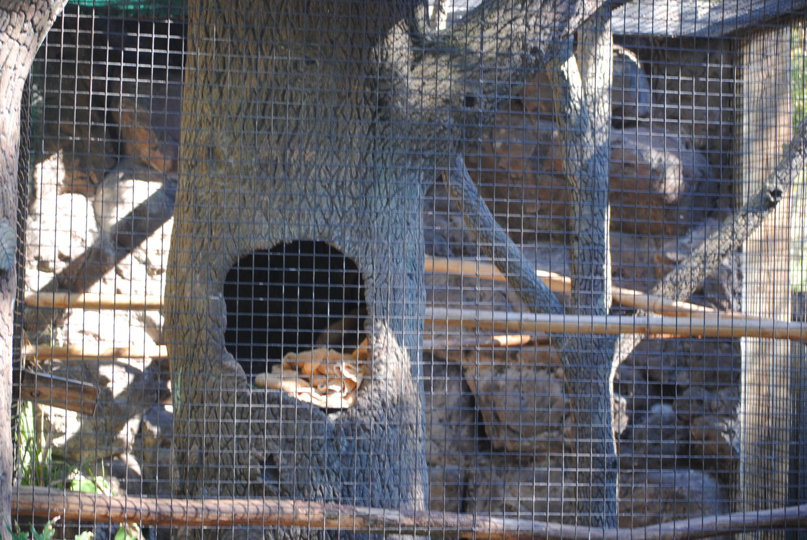 Kinkajou Enclosure