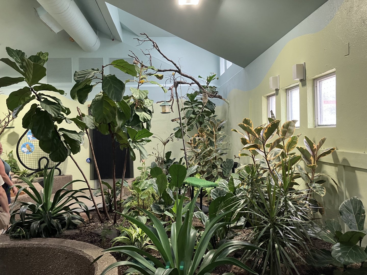 Kinsmen Discovery Center - Aviary