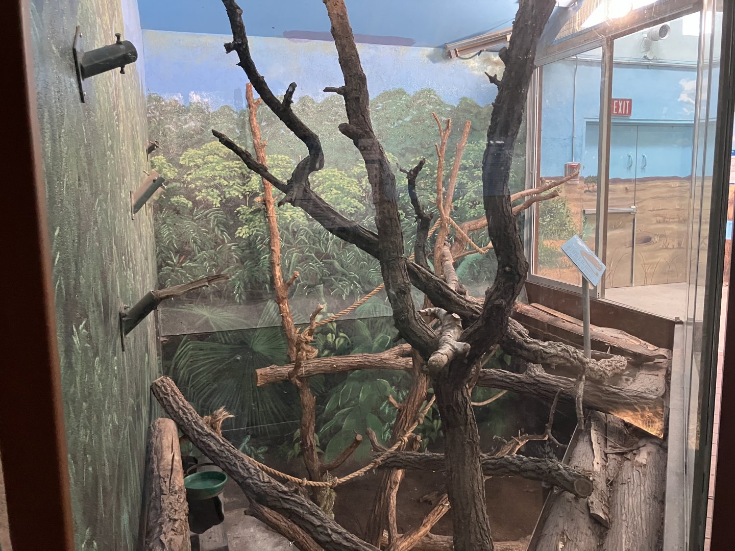 Kinsmen Discovery Center - Kinkajou Exhibit