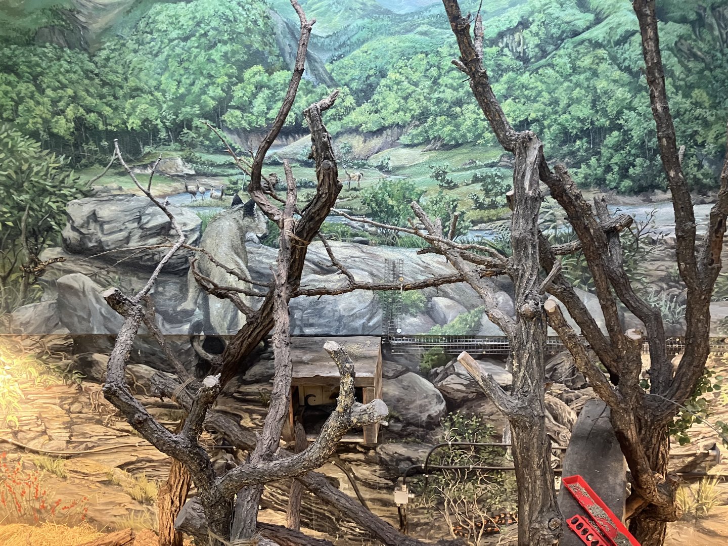 Kinsmen Discovery Center - Prehensile-Tailed Porcupine Exhibit