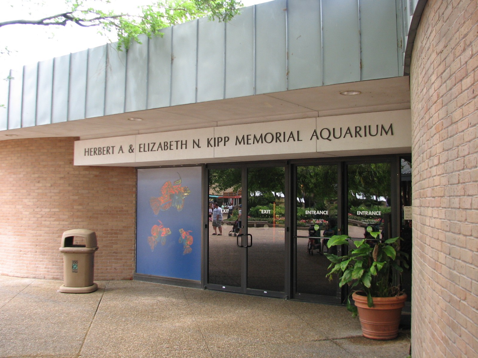 Kipp Aquarium - Entrance