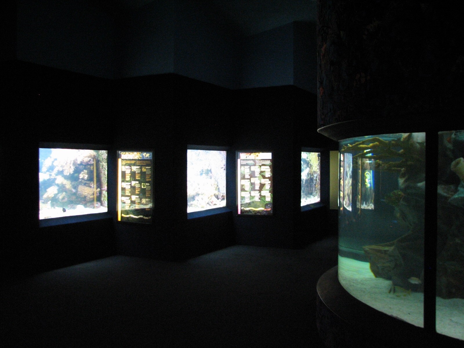Kipp Aquarium - Interior