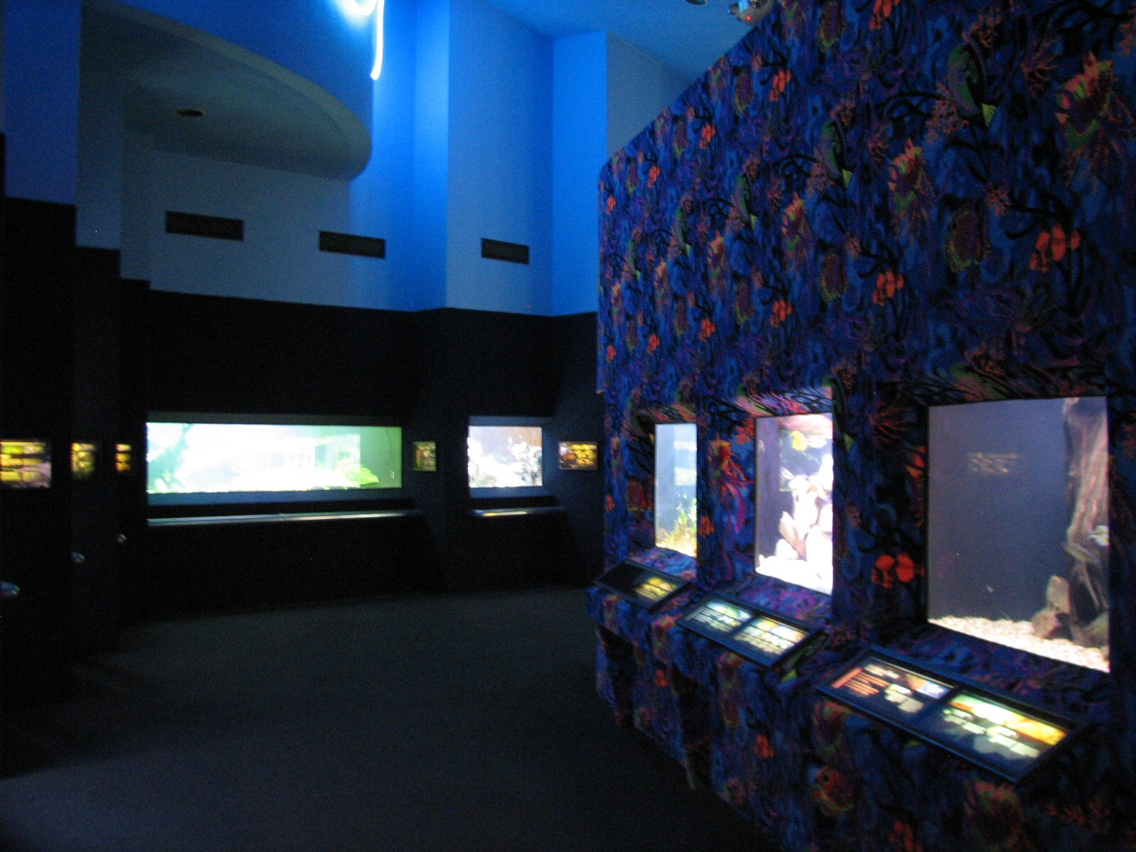 Kipp Aquarium - Interior