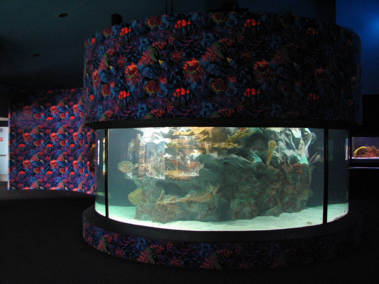 Kipp Aquarium - Sea Turtle Exhibit