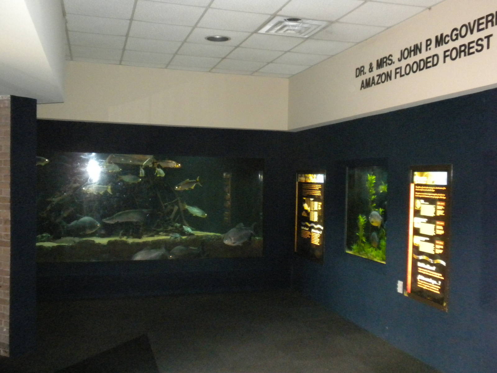 Kipp Aquarium