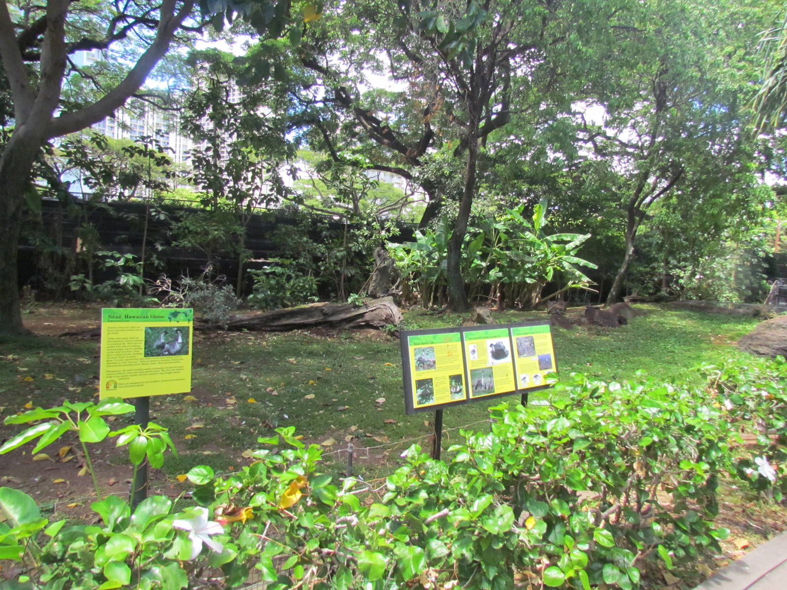 Kipuka Nene Sanctuary