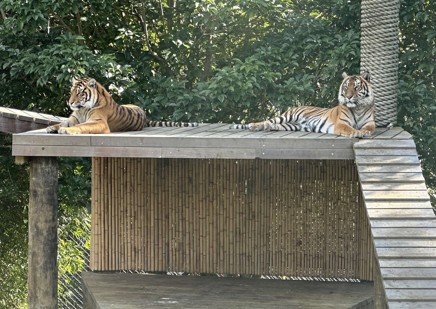Kirana and Andalas (Mother and Daughter)
