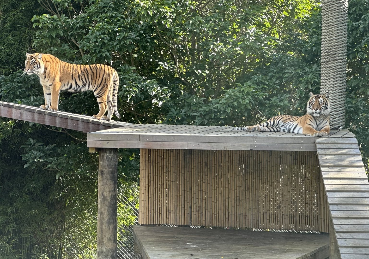 Kirana and Andalas (Mother and Daughter)
