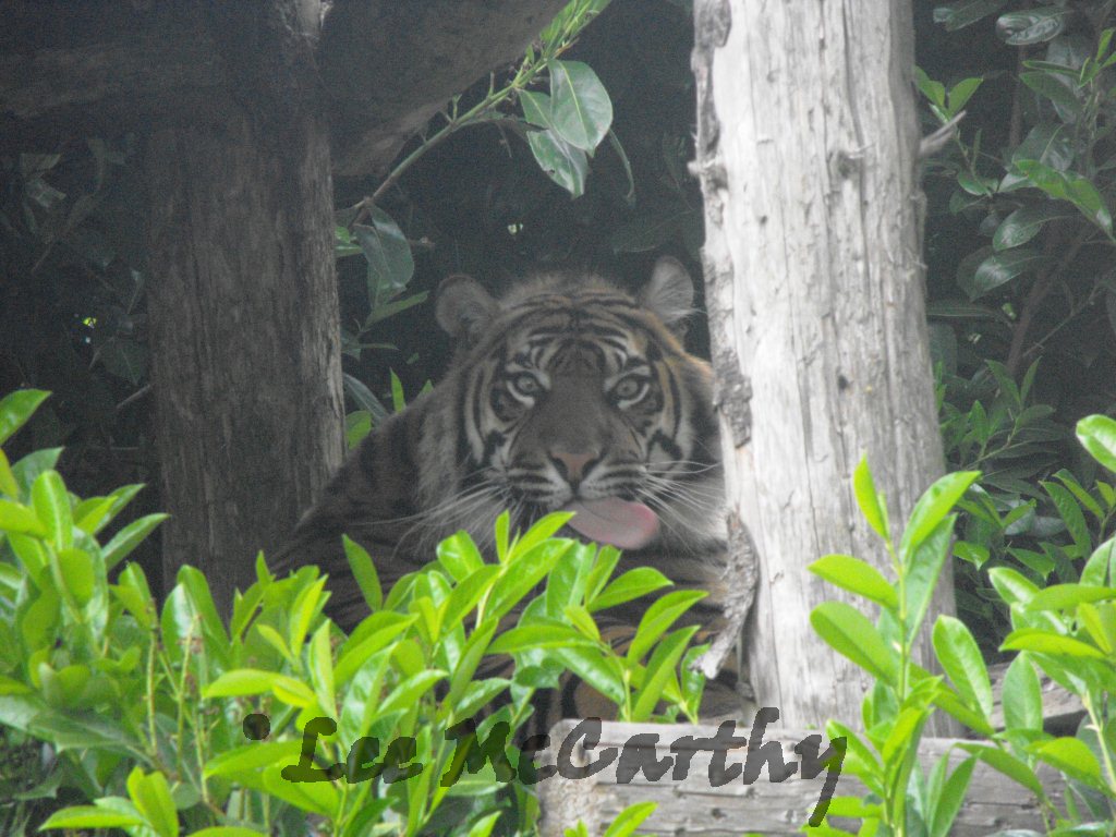 Kirana looking at me like im dinner!