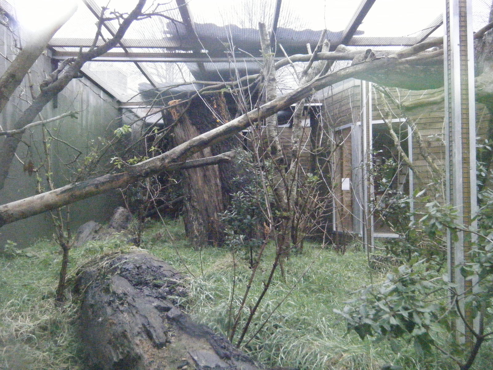 Kirindy Forest-Aye Aye and Jumping Rat Enclosure