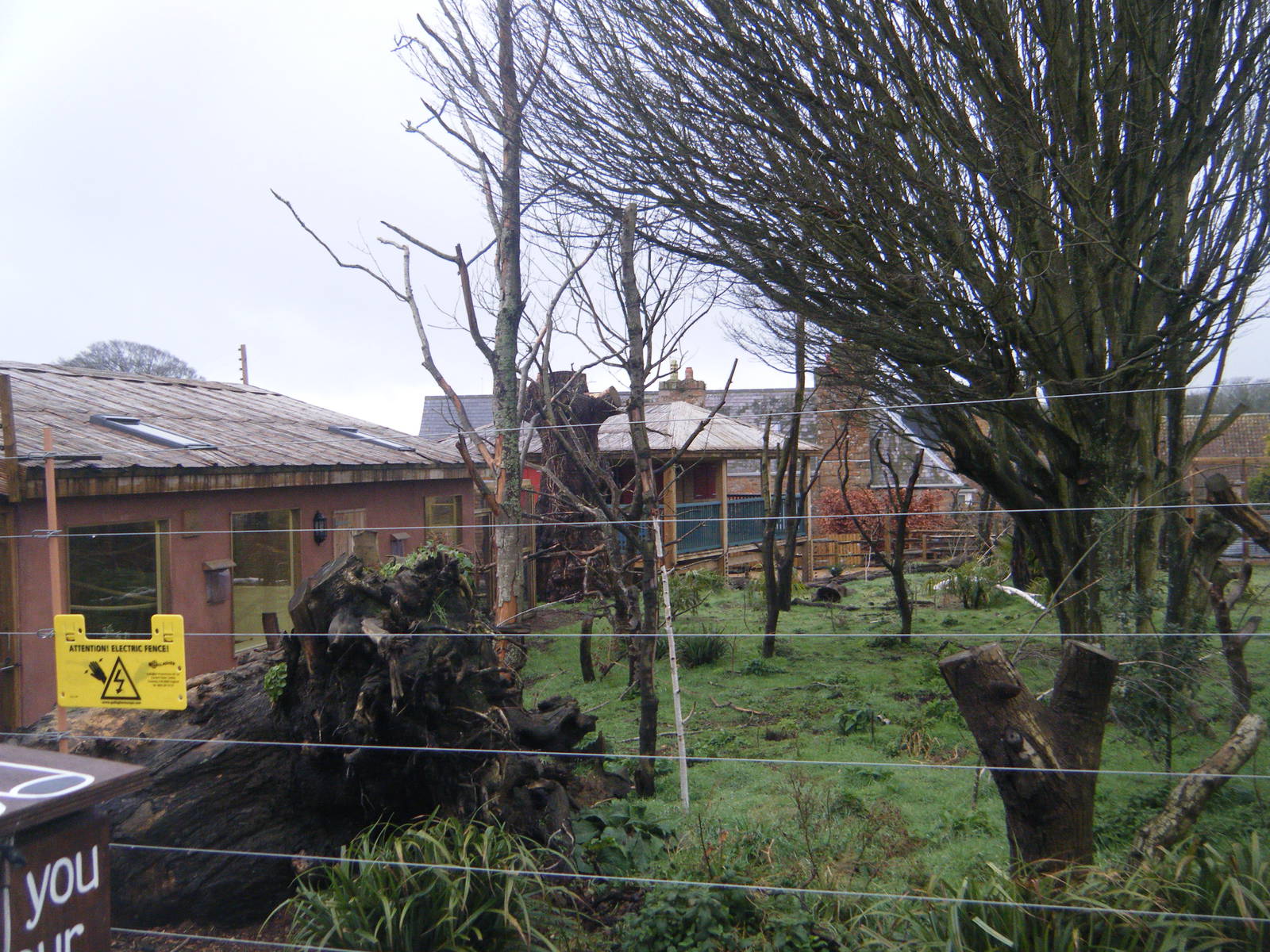Kirindy Forest-Lemur Enclosure