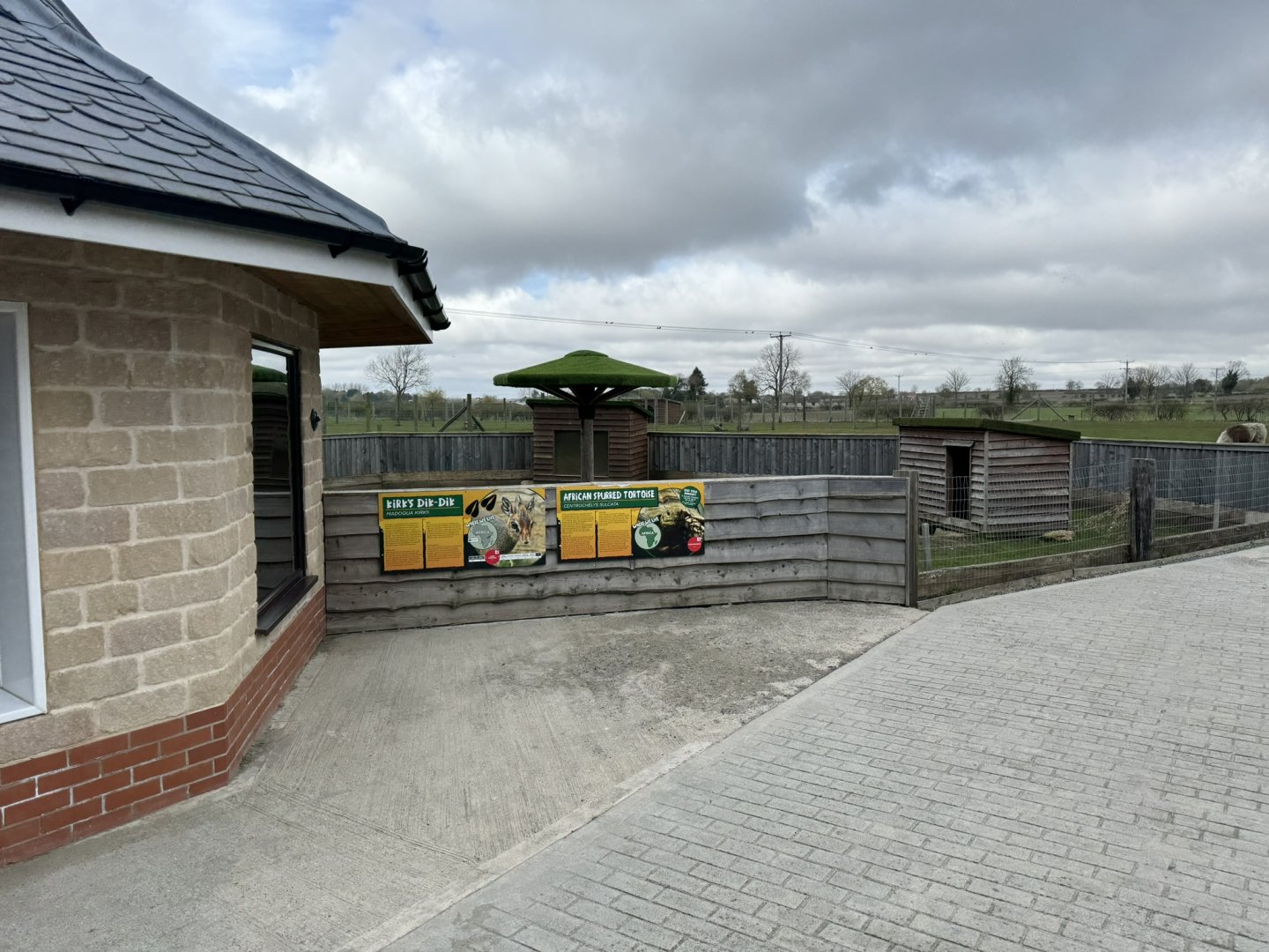 Kirk's Dik-Dik / African Spurred Tortoise Enclosure at Wolds Wildlife Park (March 2024)