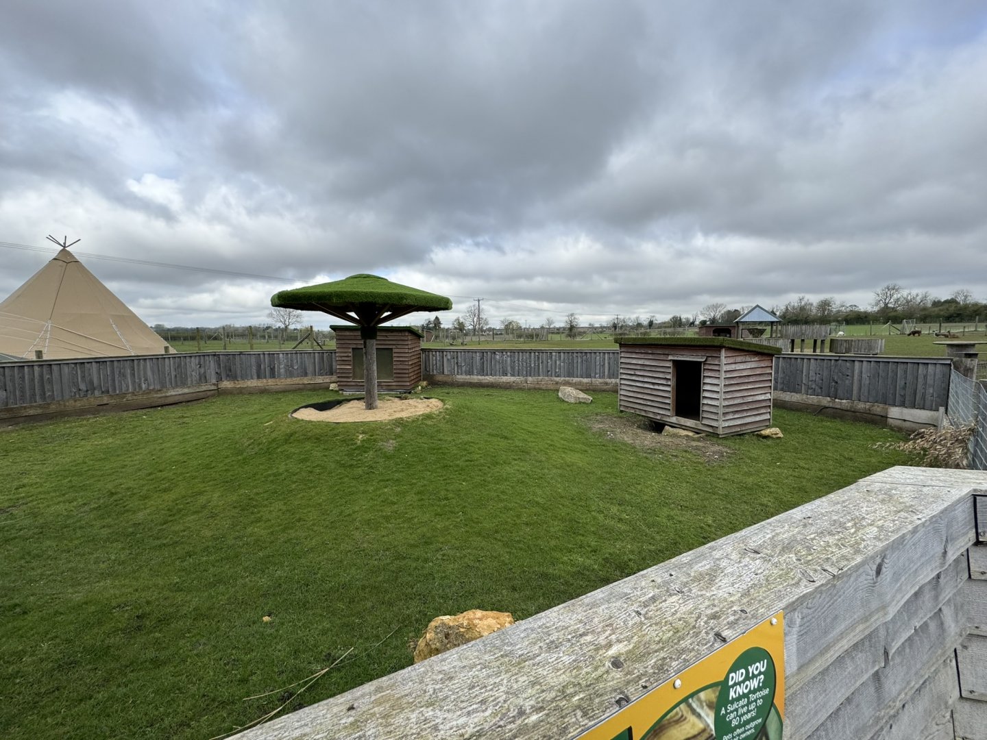 Kirk's Dik-Dik / African Spurred Tortoise Enclosure at Wolds Wildlife Park (March 2024)