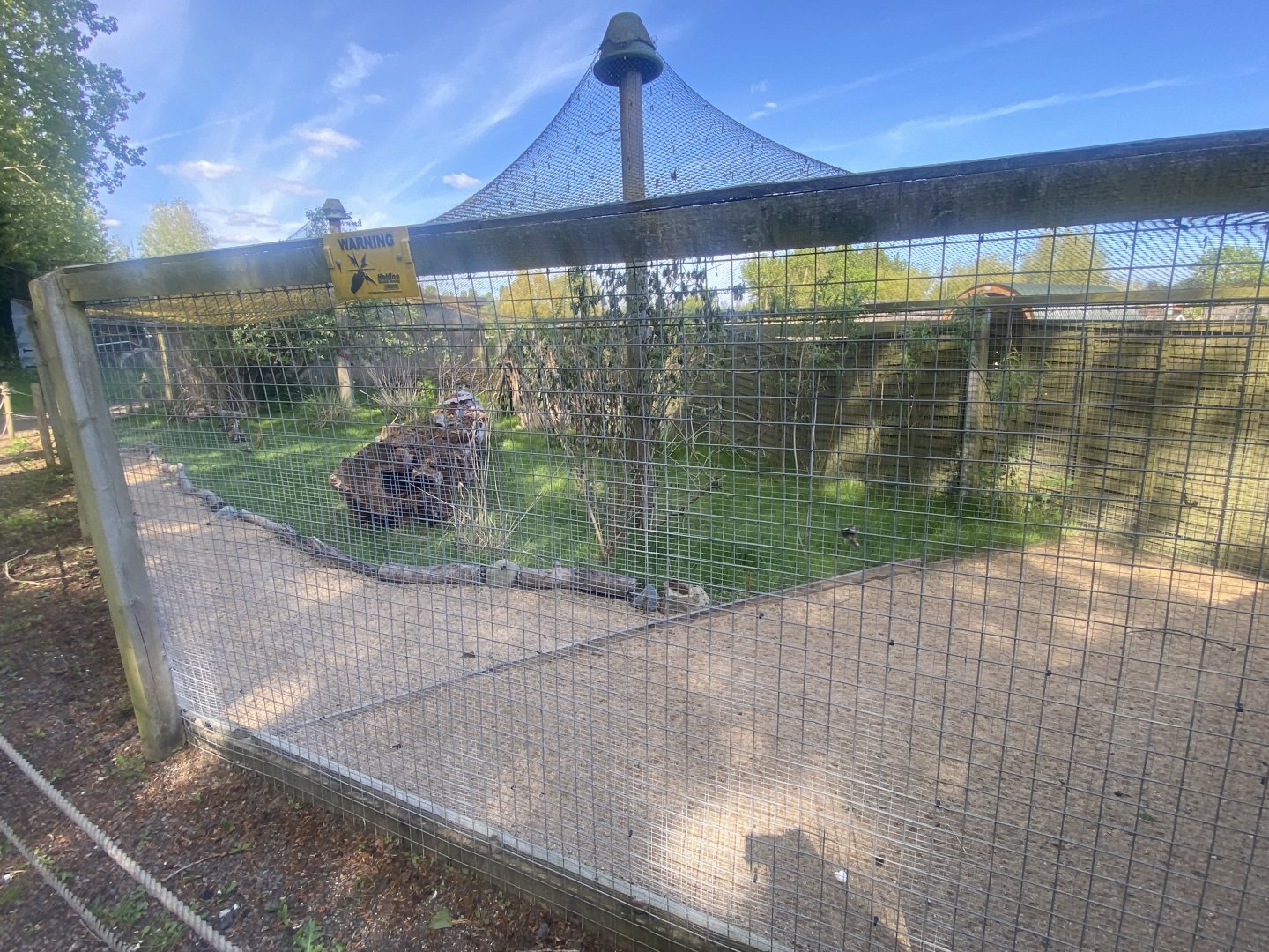 Kirk’s dik-dik enclosure 280425