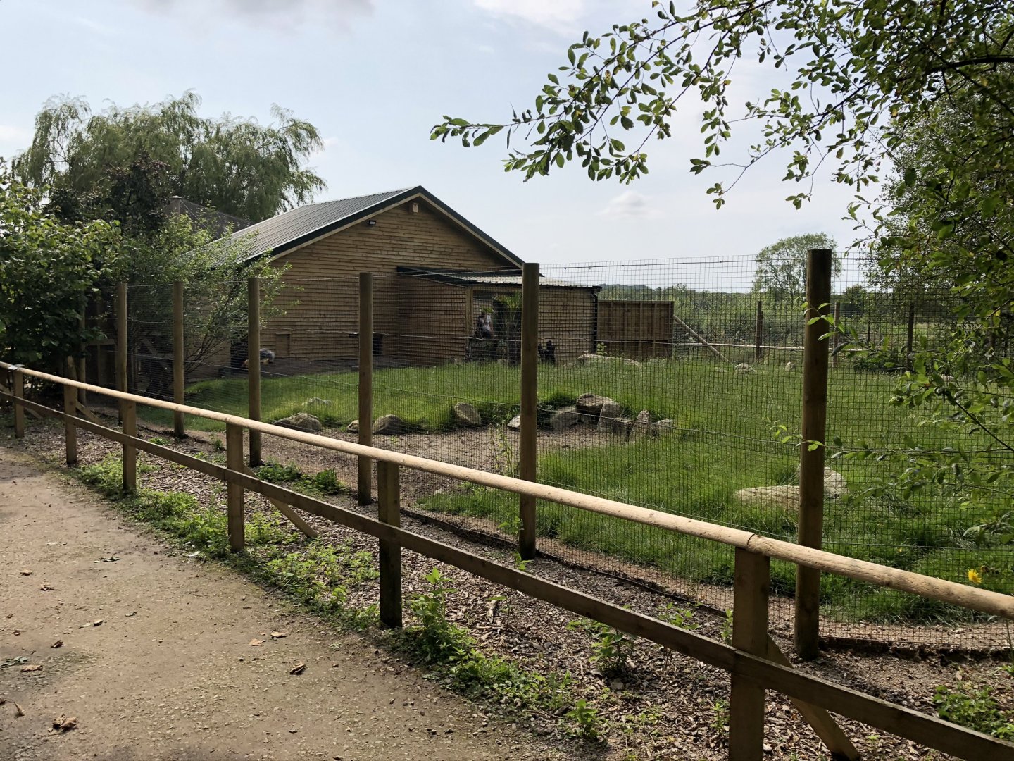 Kirk's Dik-Dik Enclosure at Lakeland Wildlife Oasis (2020)