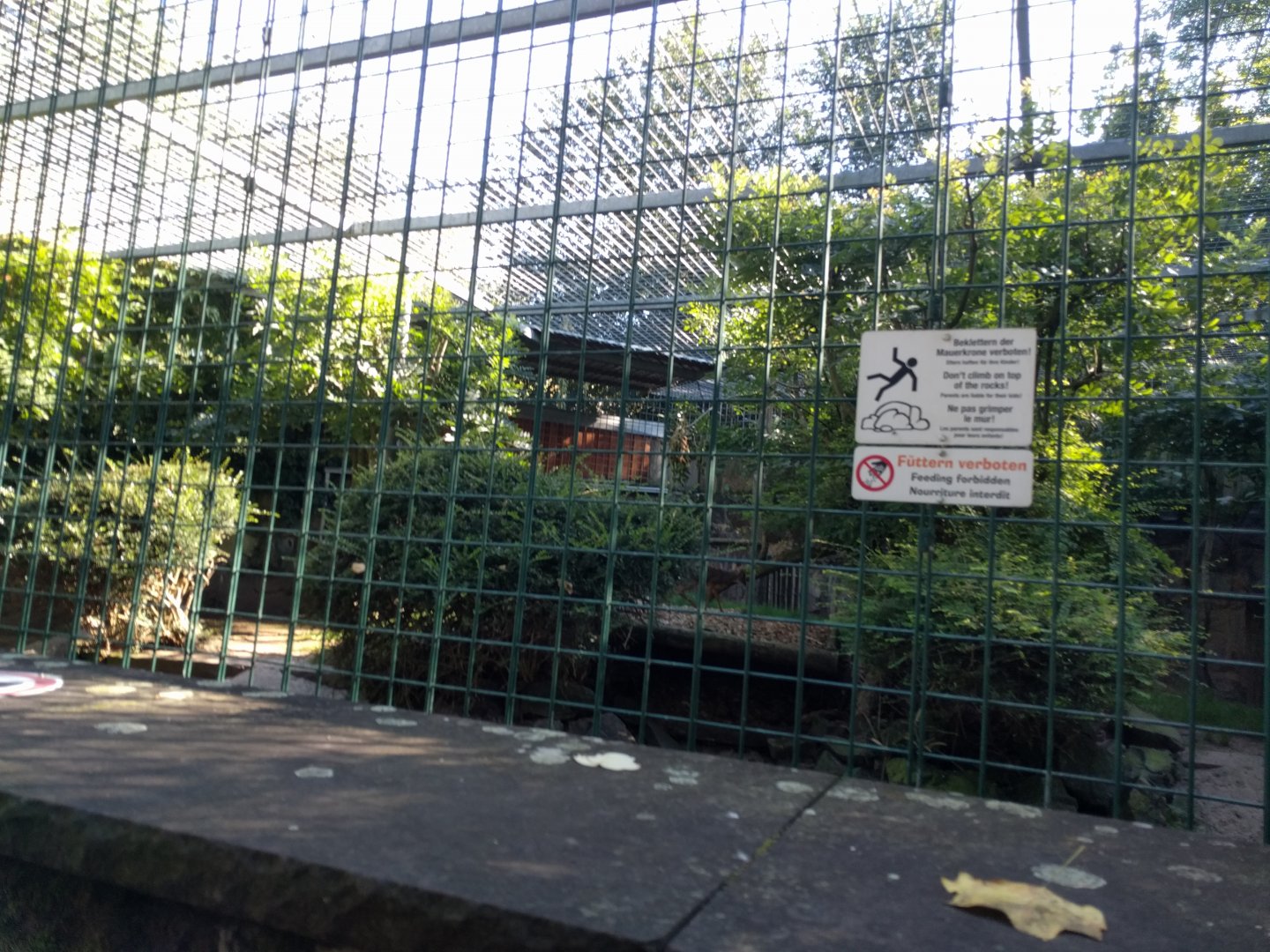 Kirks Dik Dik Enclosure