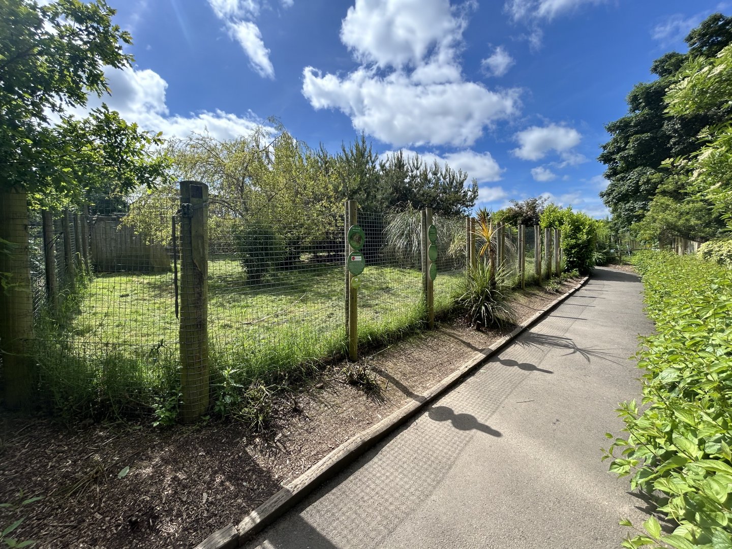 Kirk’s Dik Dik Enclosure