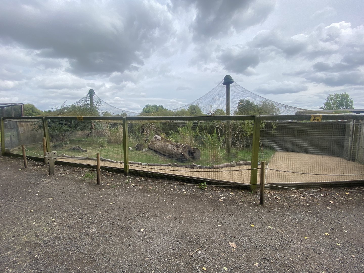 Kirk’s dik-dik exhibit 040824
