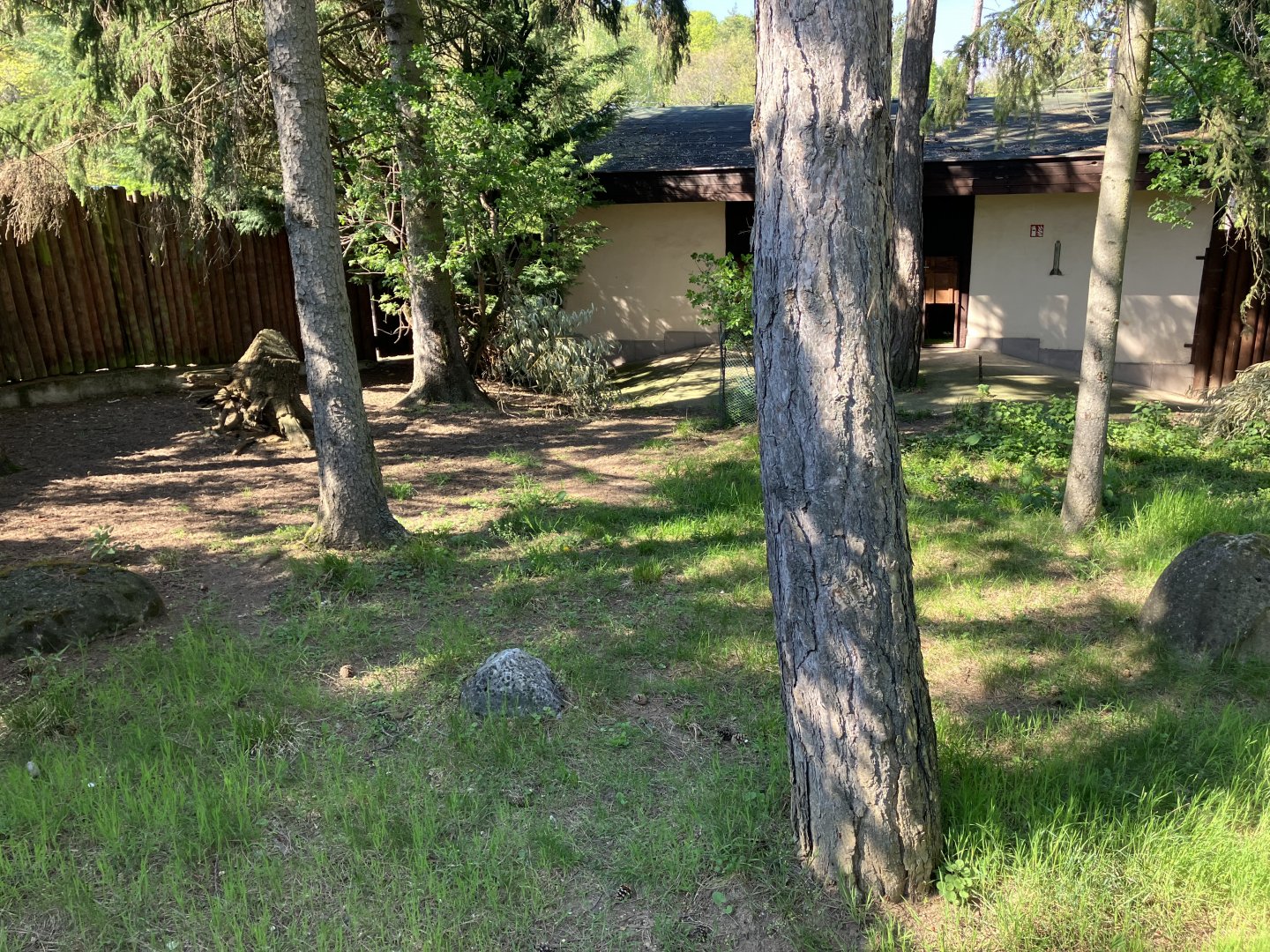 Kirk’s dik-dik exhibit-09/2023