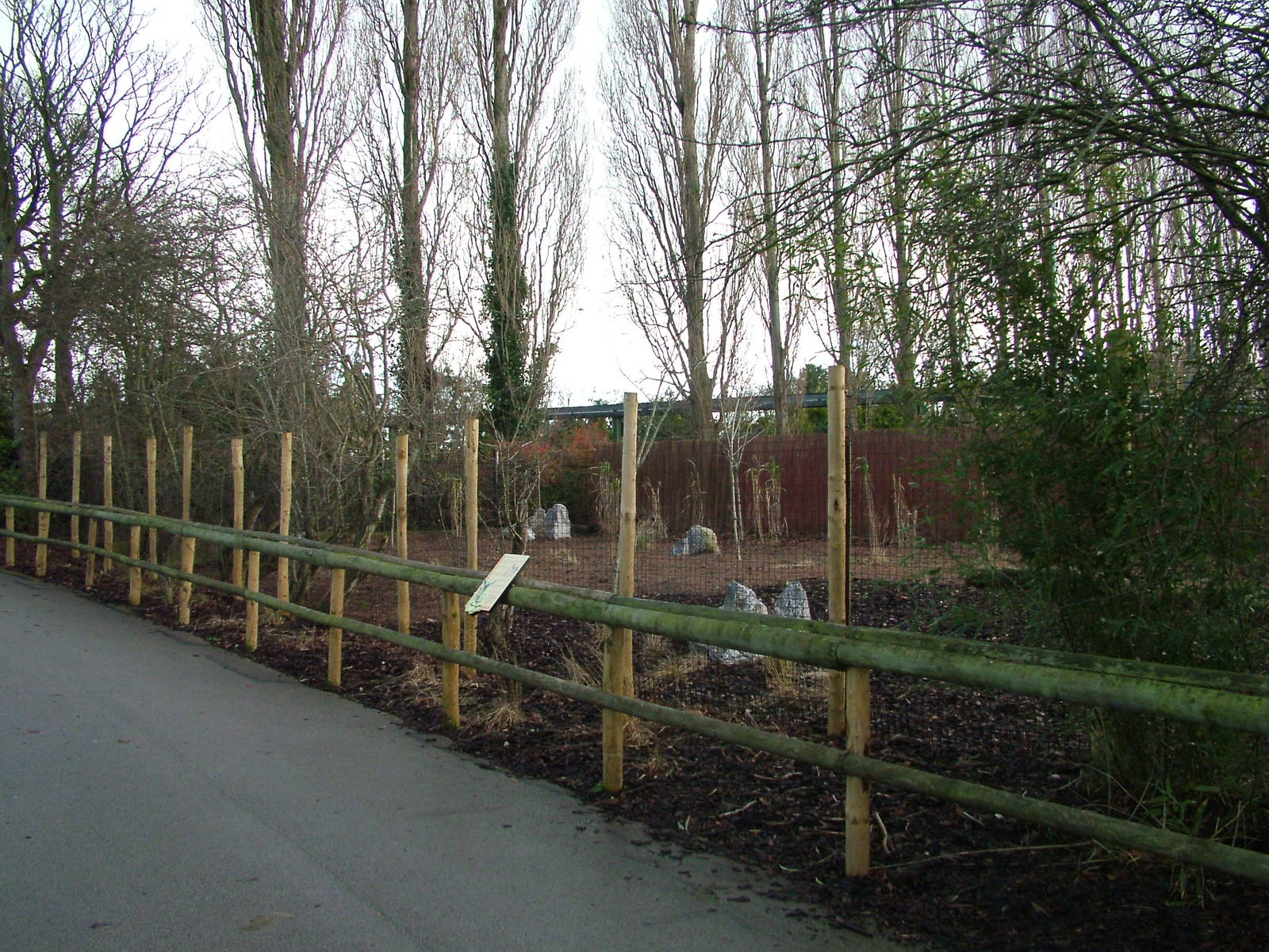 Kirk's Dik-Dik exhibit at Chester 06/12/09