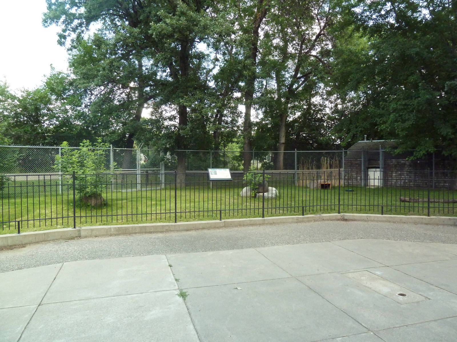 Kirk's Dik-Dik Exhibit