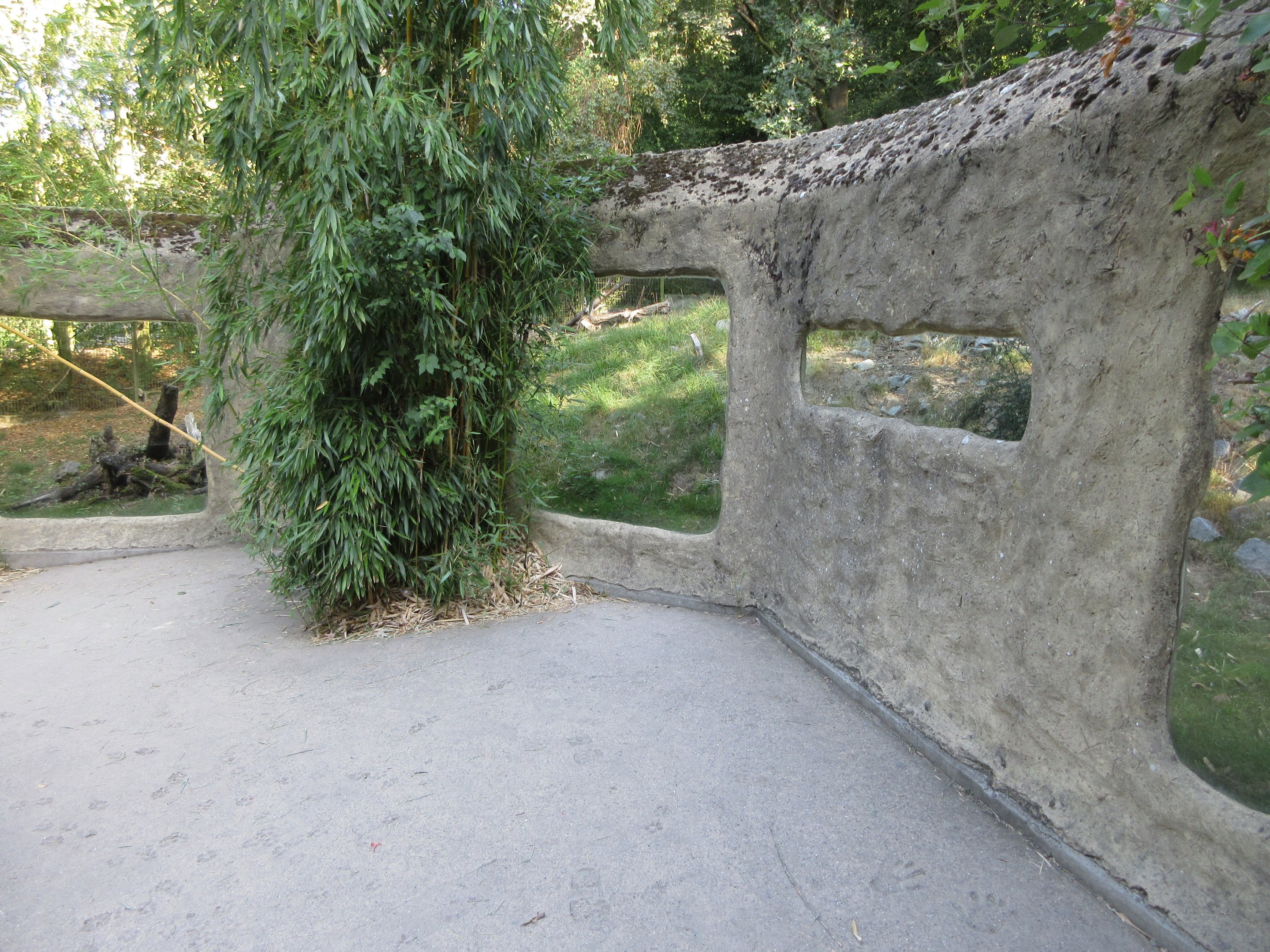 Kirk's Dik-dik Exhibit