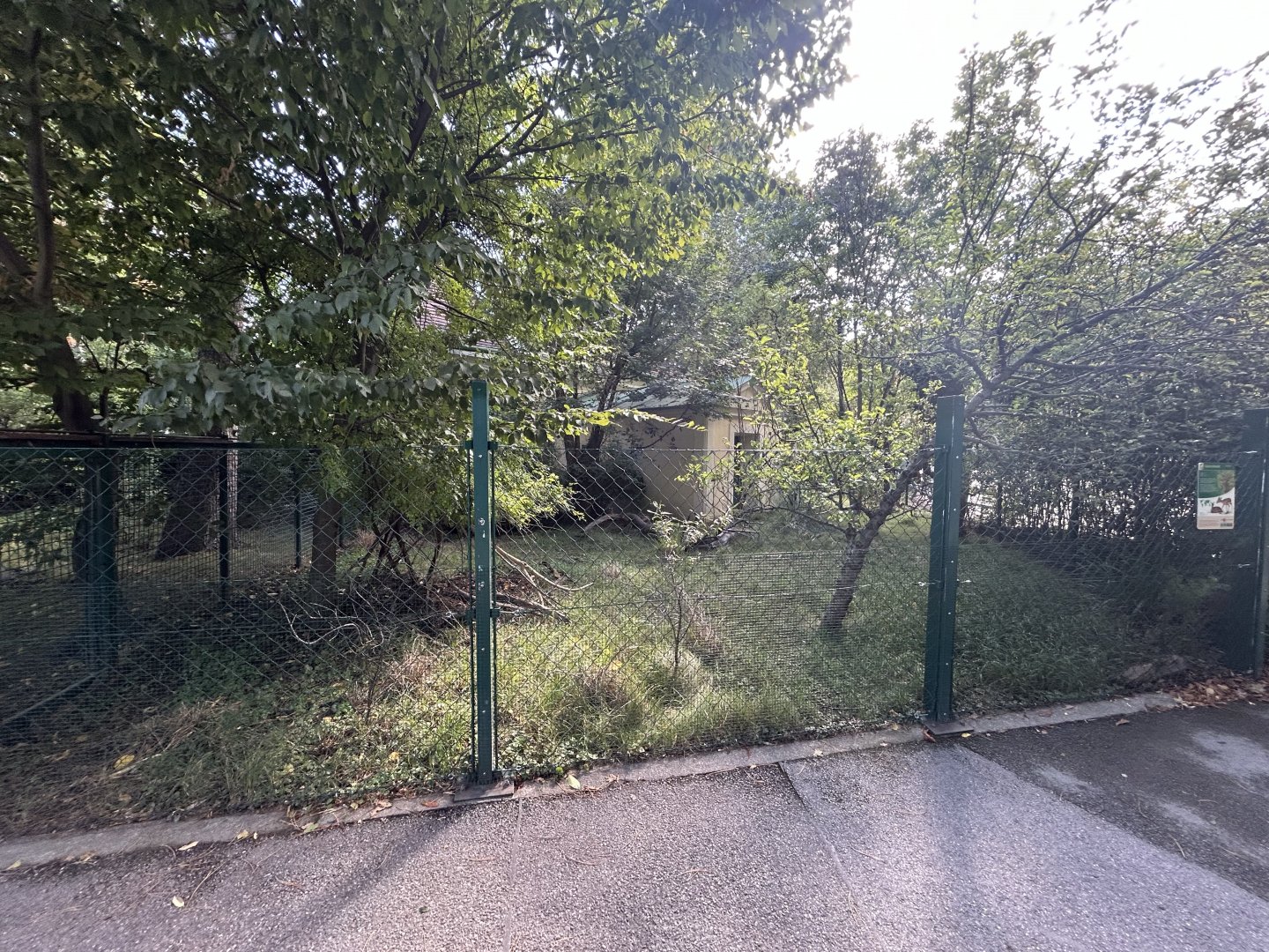 Kirk’s Dik-dik Exhibit