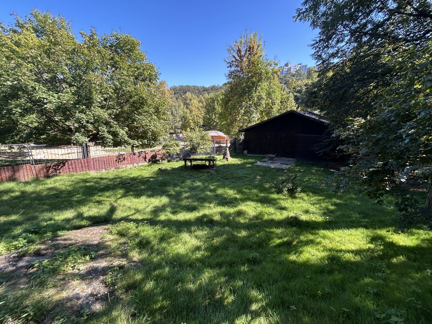 Kirk’s Dik-dik Exhibit
