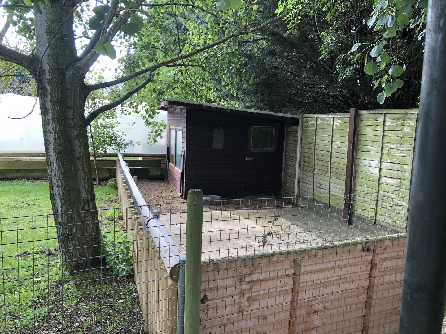 Kirk's Dik-Dik Housing at Hamerton Zoo Park (October 2023)