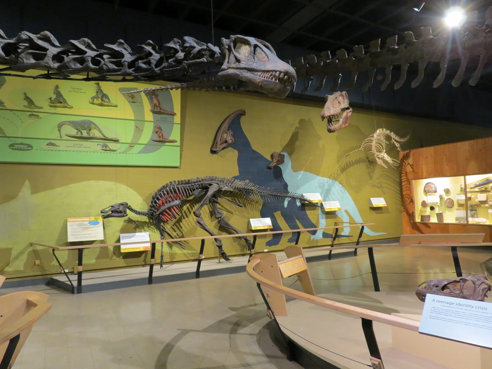 Kirtland Hall of Prehistoric Life