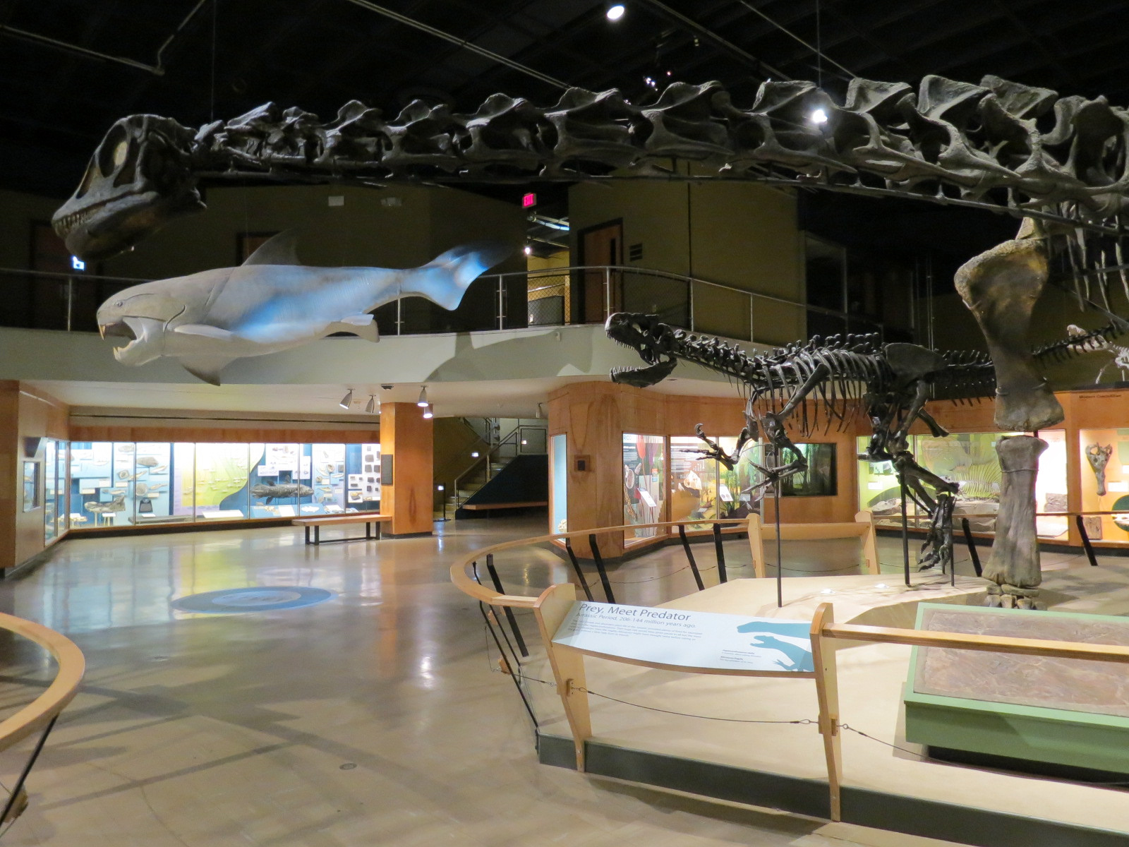 Kirtland Hall of Prehistoric Life